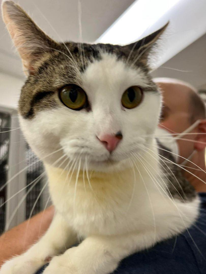 Sunset View Pet Hospital Wilton, IA